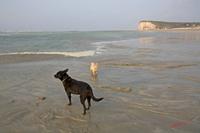 Cjp_2010_04_14_173759 (1).jpg